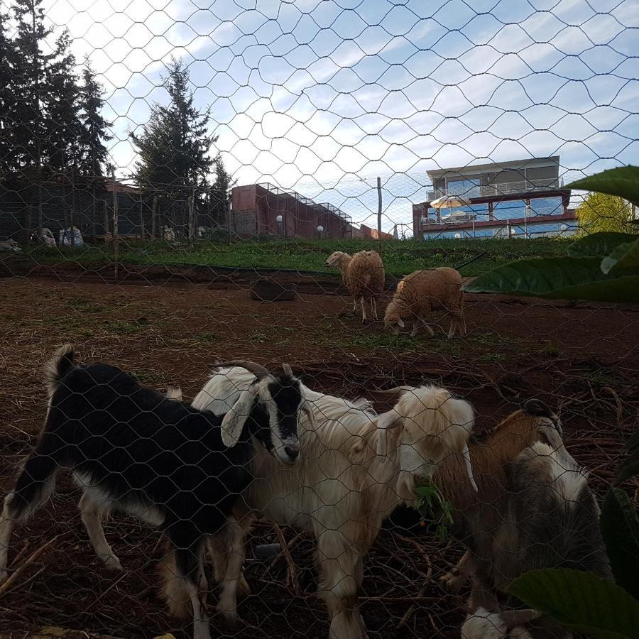 Ferme Bouhouch Apartment Oulad Yakoub